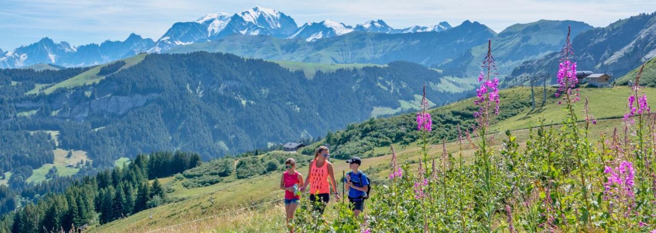 Fleur Des Montagnes Apartamento *