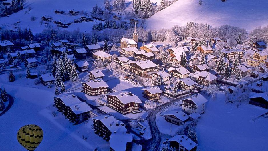 Fleur Des Montagnes Apartment Praz-sur-Arly