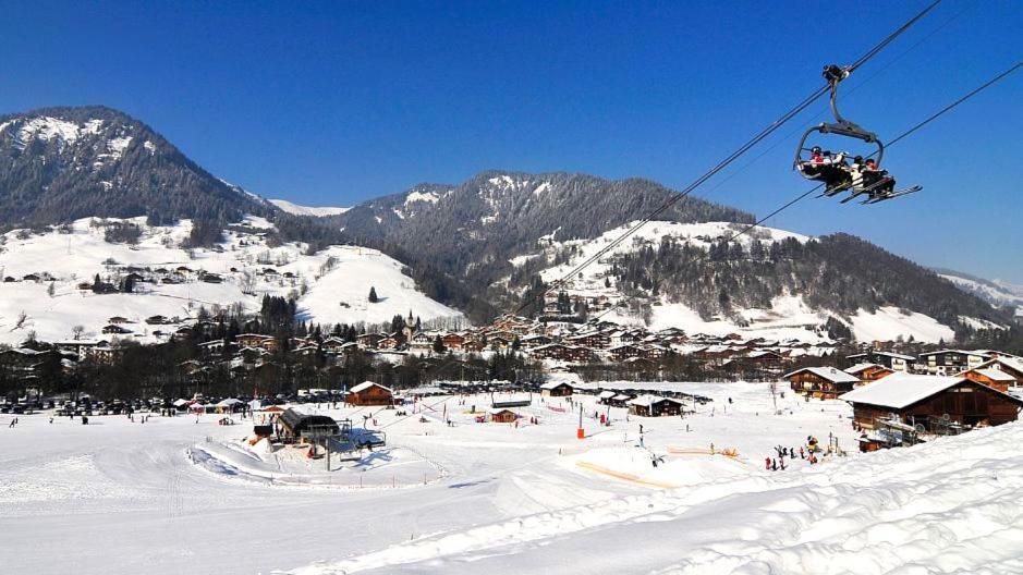 Fleur Des Montagnes Praz-sur-Arly